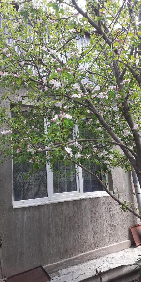Guest House Otilia Guiumri Exterior foto